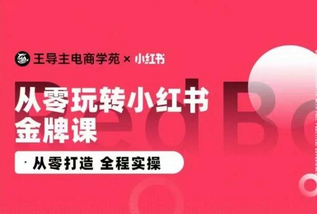 王导主·小红书电商运营实操课，​从零打造  全程实操K叔网赚资源-网赚项目-副业赚钱-互联网创业-资源整合K叔网赚资源