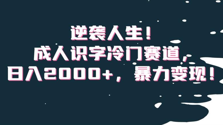 逆袭人生！成人识字冷门赛道，日入2000+，暴力变现！【揭秘】K叔网赚资源-网赚项目-副业赚钱-互联网创业-资源整合K叔网赚资源