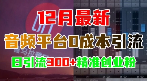 12月最新：音频平台0成本引流，日引流300+精准创业粉K叔网赚资源-网赚项目-副业赚钱-互联网创业-资源整合K叔网赚资源