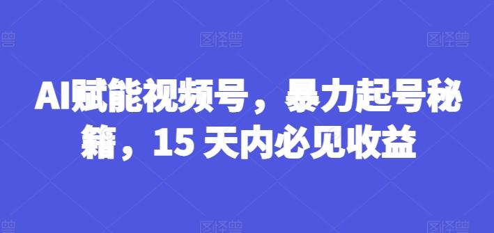 AI赋能视频号，暴力起号秘籍，15 天内必见收益【揭秘】K叔网赚资源-网赚项目-副业赚钱-互联网创业-资源整合K叔网赚资源
