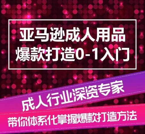 亚马逊成人用品爆款打造0-1入门，系统化讲解亚马逊成人用品爆款打造的流程K叔网赚资源-网赚项目-副业赚钱-互联网创业-资源整合K叔网赚资源
