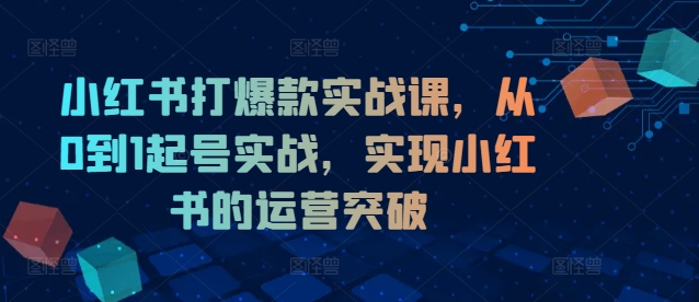 小红书打爆款实战课，从0到1起号实战，实现小红书的运营突破K叔网赚资源-网赚项目-副业赚钱-互联网创业-资源整合K叔网赚资源