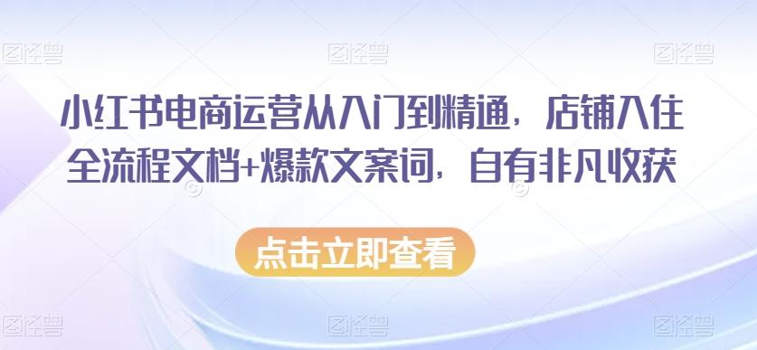 小红书电商运营从入门到精通，店铺入住全流程文档+爆款文案词，自有非凡收获K叔网赚资源-网赚项目-副业赚钱-互联网创业-资源整合K叔网赚资源
