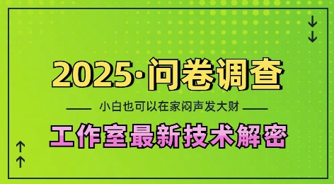 2025问卷调查最新工作室技术解密：一个人在家也可以闷声发大财，小白一天2张，可矩阵放大【揭秘】K叔网赚资源-网赚项目-副业赚钱-互联网创业-资源整合K叔网赚资源