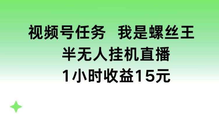 视频号任务，我是螺丝王， 半无人挂机1小时收益15元【揭秘】K叔网赚资源-网赚项目-副业赚钱-互联网创业-资源整合K叔网赚资源