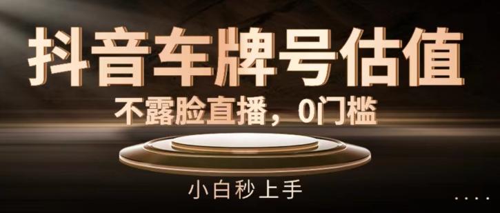 抖音车牌号估值，不露脸直播，0门槛，小白秒上手【揭秘】K叔网赚资源-网赚项目-副业赚钱-互联网创业-资源整合K叔网赚资源