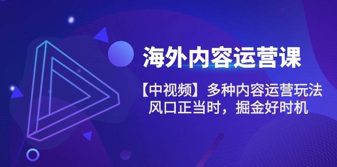 海外内容 运营课【中视频】多种内容运营玩法 风口正当时 掘金好时机-101节K叔网赚资源-网赚项目-副业赚钱-互联网创业-资源整合K叔网赚资源