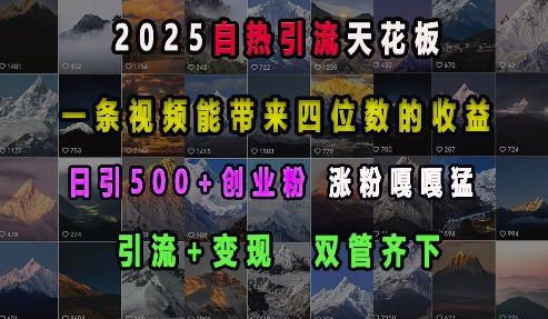2025自热引流天花板，一条视频能带来四位数的收益，引流+变现双管齐下，日引500+创业粉，涨粉嘎嘎猛K叔网赚资源-网赚项目-副业赚钱-互联网创业-资源整合K叔网赚资源