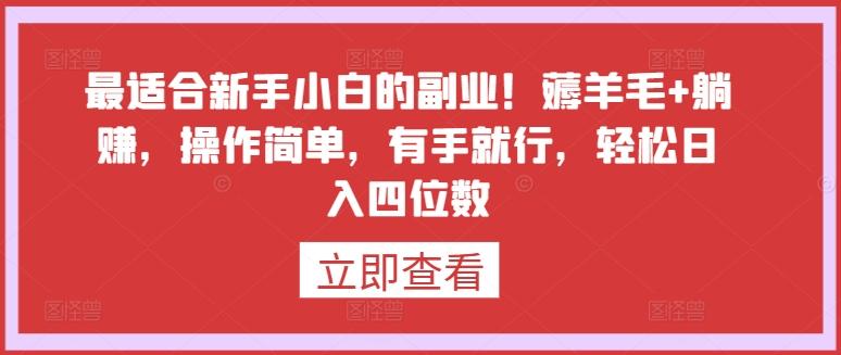 最适合新手小白的副业！薅羊毛+躺赚，操作简单，有手就行，轻松日入四位数【揭秘】K叔网赚资源-网赚项目-副业赚钱-互联网创业-资源整合K叔网赚资源