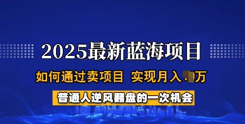 2025蓝海项目，普通人如何通过卖项目，实现月入过W，全过程【揭秘】K叔网赚资源-网赚项目-副业赚钱-互联网创业-资源整合K叔网赚资源