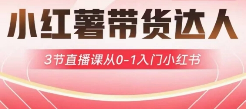 小红薯达人带货启航计划，3节直播课从0-1入门小红书K叔网赚资源-网赚项目-副业赚钱-互联网创业-资源整合K叔网赚资源