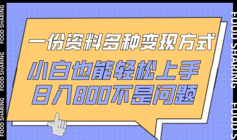 一份资料多种变现方式，小白也能轻松上手，日入800不是问题【揭秘】K叔网赚资源-网赚项目-副业赚钱-互联网创业-资源整合K叔网赚资源