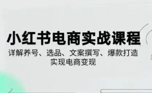 小红书从0-1实操课(2023-2025)，详解养号、选品、文案撰写、爆款打造实现电商变现K叔网赚资源-网赚项目-副业赚钱-互联网创业-资源整合K叔网赚资源