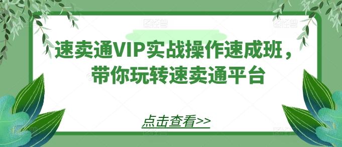 速卖通VIP实战操作速成班，带你玩转速卖通平台K叔网赚资源-网赚项目-副业赚钱-互联网创业-资源整合K叔网赚资源