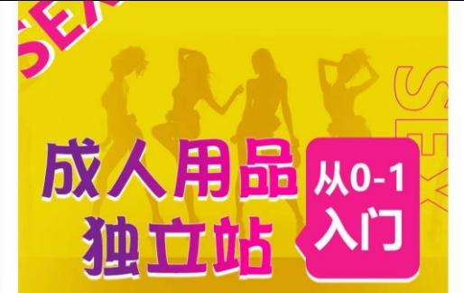 成人用品独立站从0-1入门，成品独立站运营全流程教学，七大好卖成品独立站推荐K叔网赚资源-网赚项目-副业赚钱-互联网创业-资源整合K叔网赚资源