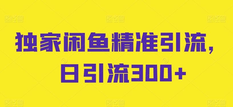 独家闲鱼精准引流，日引流300+【揭秘】K叔网赚资源-网赚项目-副业赚钱-互联网创业-资源整合K叔网赚资源