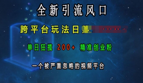 全新引流风口，跨平台玩法日入上k，单日狂揽200+精准创业粉，一个被严重忽略的视频平台K叔网赚资源-网赚项目-副业赚钱-互联网创业-资源整合K叔网赚资源