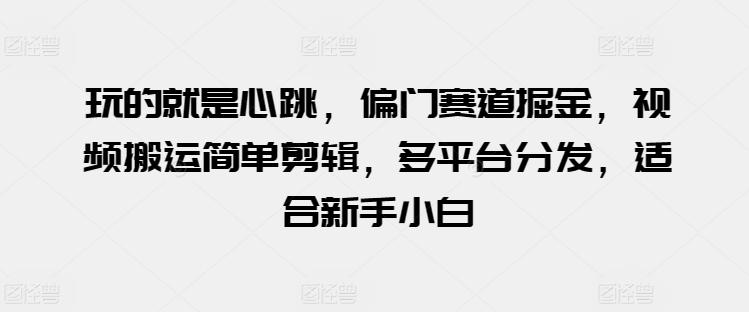 玩的就是心跳，偏门赛道掘金，视频搬运简单剪辑，多平台分发，适合新手小白【揭秘】K叔网赚资源-网赚项目-副业赚钱-互联网创业-资源整合K叔网赚资源