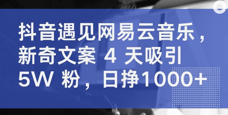 抖音遇见网易云音乐，新奇文案 4 天吸引 5W 粉，日挣1000+【揭秘】K叔网赚资源-网赚项目-副业赚钱-互联网创业-资源整合K叔网赚资源