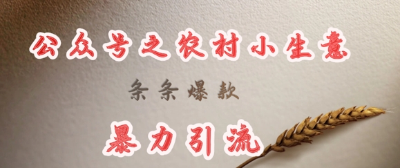 deepseek写农村小项目，条条爆款，暴力引流K叔网赚资源-网赚项目-副业赚钱-互联网创业-资源整合K叔网赚资源