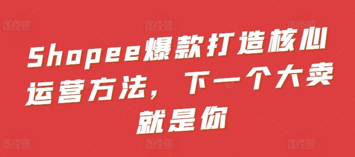 Shopee爆款打造核心运营方法，下一个大卖就是你K叔网赚资源-网赚项目-副业赚钱-互联网创业-资源整合K叔网赚资源