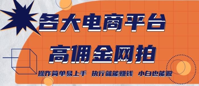 各大电商平台高佣金网拍，操作简单易上手，执行就能赚钱，小白也能做K叔网赚资源-网赚项目-副业赚钱-互联网创业-资源整合K叔网赚资源