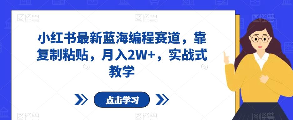 小红书最新蓝海编程赛道，靠复制粘贴，月入2W+，实战式教学【揭秘】K叔网赚资源-网赚项目-副业赚钱-互联网创业-资源整合K叔网赚资源
