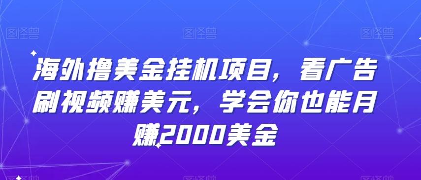 海外撸美金挂机项目，看广告刷视频赚美元，学会你也能月赚2000美金K叔网赚资源-网赚项目-副业赚钱-互联网创业-资源整合K叔网赚资源