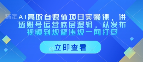 AI高阶自媒体项目实操课，讲透账号运营底层逻辑，从发布视频到规避违规一网打尽K叔网赚资源-网赚项目-副业赚钱-互联网创业-资源整合K叔网赚资源