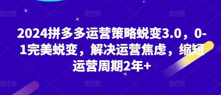 2024拼多多运营策略蜕变3.0，0-1完美蜕变，解决运营焦虑，缩短运营周期2年+K叔网赚资源-网赚项目-副业赚钱-互联网创业-资源整合K叔网赚资源