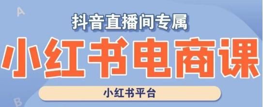 小红书电商高级运营课程，实操教学+案例分析K叔网赚资源-网赚项目-副业赚钱-互联网创业-资源整合K叔网赚资源
