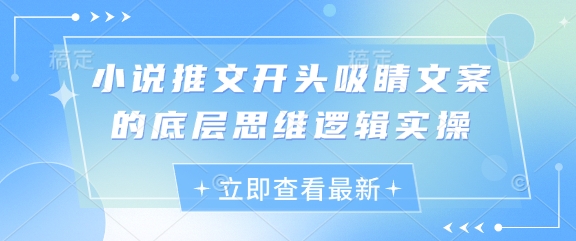 小说推文开头吸睛文案的底层思维逻辑实操K叔网赚资源-网赚项目-副业赚钱-互联网创业-资源整合K叔网赚资源