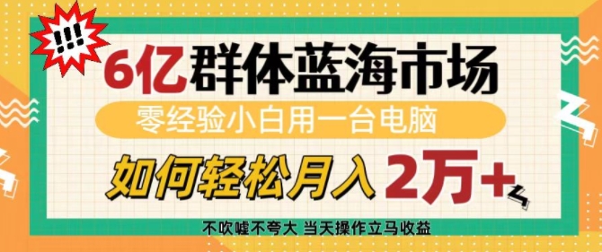 6亿群体蓝海市场，零经验小白用一台电脑，如何轻松月入过w【揭秘】K叔网赚资源-网赚项目-副业赚钱-互联网创业-资源整合K叔网赚资源