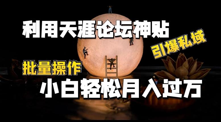 利用天涯论坛神贴，引爆私域，批量操作，小白轻松月入过w【揭秘】K叔网赚资源-网赚项目-副业赚钱-互联网创业-资源整合K叔网赚资源