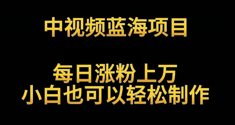 中视频蓝海项目，解读英雄人物生平，每日涨粉上万，小白也可以轻松制作，月入过万不是梦【揭秘】K叔网赚资源-网赚项目-副业赚钱-互联网创业-资源整合K叔网赚资源