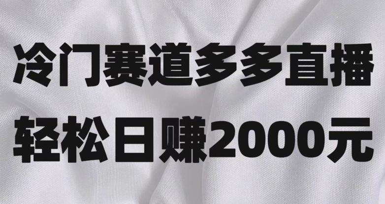 冷门赛道拼多多直播，简单念稿子，日收益2000＋【揭秘】K叔网赚资源-网赚项目-副业赚钱-互联网创业-资源整合K叔网赚资源