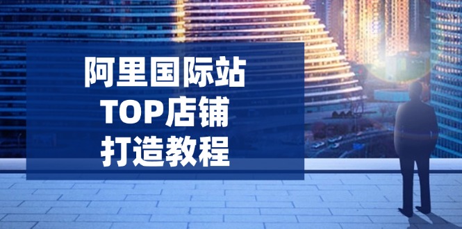 阿里国际站TOP店铺打造教程：涵盖平台到高阶，解决运营难题，提升询盘K叔网赚资源-网赚项目-副业赚钱-互联网创业-资源整合K叔网赚资源