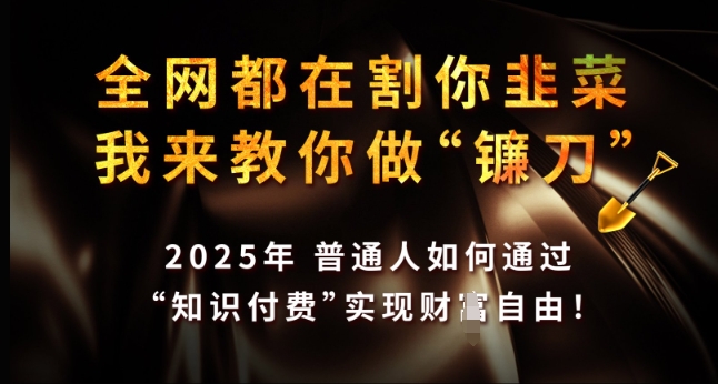 全网都在割你韭菜，我来教你做镰刀，2025年普通人如何通过 知识付费 实现财F自由【揭秘】K叔网赚资源-网赚项目-副业赚钱-互联网创业-资源整合K叔网赚资源