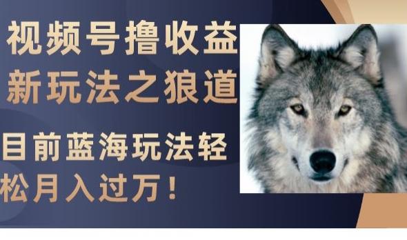 视频号撸收益新玩法之狼道，目前蓝海玩法，轻松月入过万【揭秘】K叔网赚资源-网赚项目-副业赚钱-互联网创业-资源整合K叔网赚资源