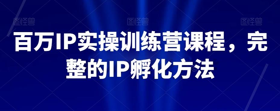 百万IP实操训练营课程，完整的IP孵化方法K叔网赚资源-网赚项目-副业赚钱-互联网创业-资源整合K叔网赚资源