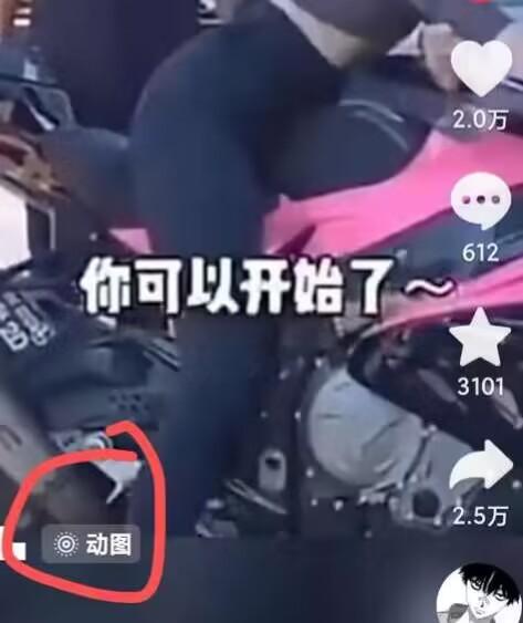 2024年7月苹果手机动图搬运技术K叔网赚资源-网赚项目-副业赚钱-互联网创业-资源整合K叔网赚资源