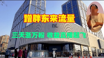 蹭胖东来流量，三天涨万粉，收益直接起飞K叔网赚资源-网赚项目-副业赚钱-互联网创业-资源整合K叔网赚资源