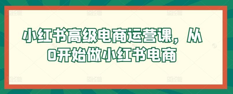小红书高级电商运营课，从0开始做小红书电商K叔网赚资源-网赚项目-副业赚钱-互联网创业-资源整合K叔网赚资源