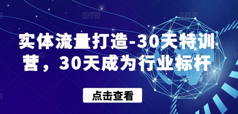 实体流量打造-30天特训营，30天成为行业标杆K叔网赚资源-网赚项目-副业赚钱-互联网创业-资源整合K叔网赚资源