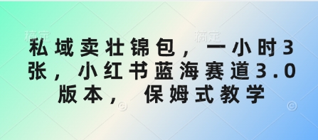 私域卖壮锦包，一小时3张，小红书蓝海赛道3.0版本， 保姆式教学K叔网赚资源-网赚项目-副业赚钱-互联网创业-资源整合K叔网赚资源