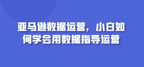 亚马逊数据运营，小白如何学会用数据指导运营K叔网赚资源-网赚项目-副业赚钱-互联网创业-资源整合K叔网赚资源