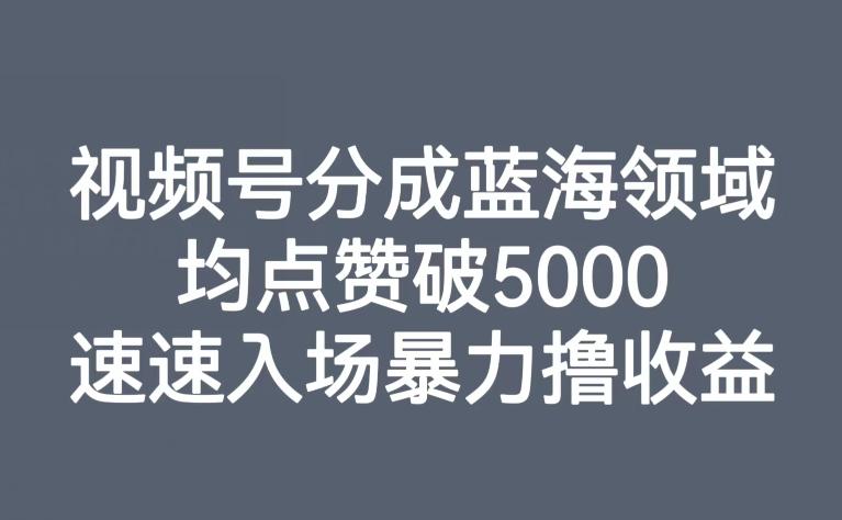 视频号分成蓝海领域，均点赞破5000，速速入场暴力撸收益K叔网赚资源-网赚项目-副业赚钱-互联网创业-资源整合K叔网赚资源