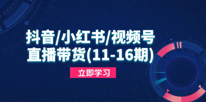 抖音/小红书/视频号/直播带货(11-16期K叔网赚资源-网赚项目-副业赚钱-互联网创业-资源整合K叔网赚资源