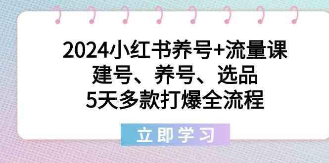 2024小红书养号+流量课：建号、养号、选品，5天多款打爆全流程K叔网赚资源-网赚项目-副业赚钱-互联网创业-资源整合K叔网赚资源