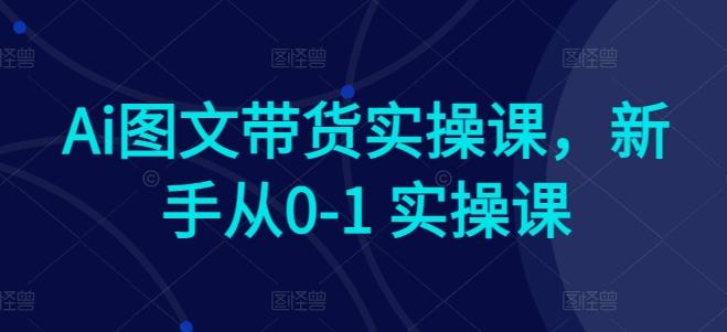 Ai图文带货实操课，新手从0-1 实操课K叔网赚资源-网赚项目-副业赚钱-互联网创业-资源整合K叔网赚资源